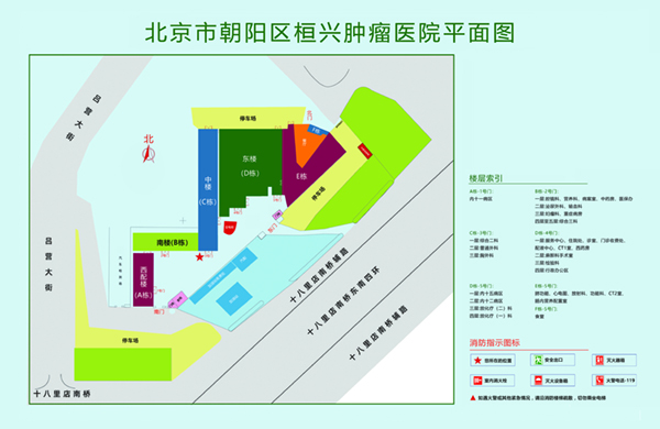 大鸡吧操逼视频北京市朝阳区桓兴肿瘤医院平面图